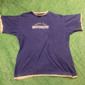 Vintage Y2K Victoria Falls Embroidered Tee